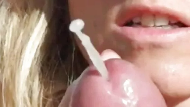 為美麗的Marley Brinx的狹窄混蛋做出努力