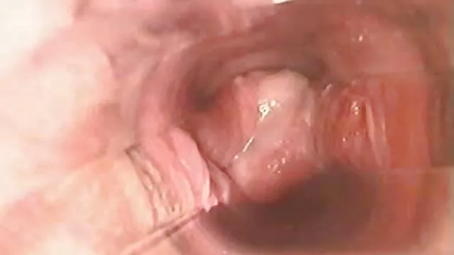 兩個充滿激情的徐娘半老觸摸和親吻