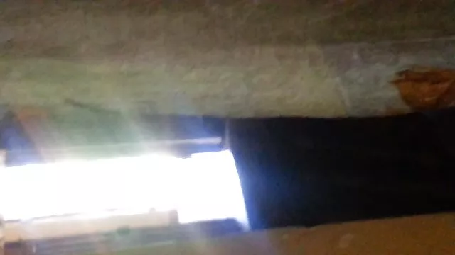 與我豐滿的律師的會面承諾