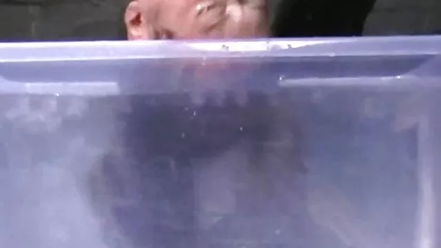他媽的傢伙，你經常有尾巴！